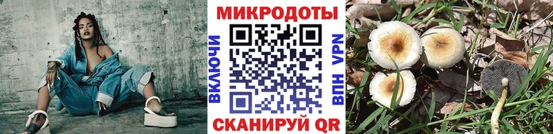 что такое   Нурлат  Псилоцибиновые грибы прущие грибы 